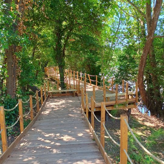 Parco fluviale di lungotevere delle navi