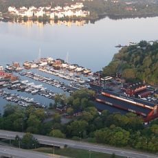 Pampas marina