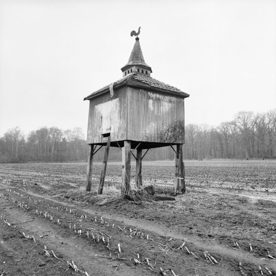 Schoonheten: duiventil