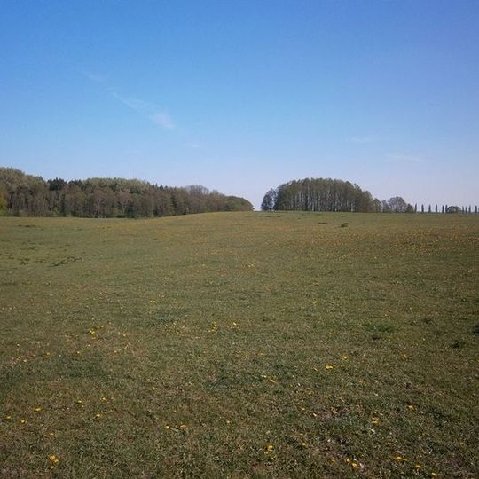 Burgwall Hungerstorf