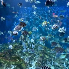 North Carolina Aquarium at Pine Knoll Shores