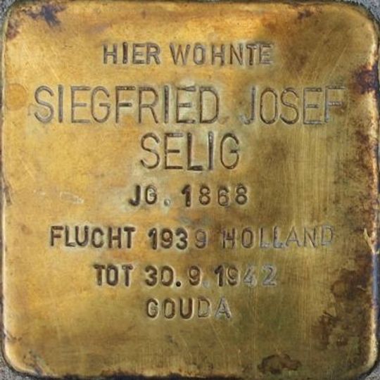 Stolperstein en memoria de Siegfried Selig