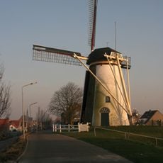 De Korenbloem
