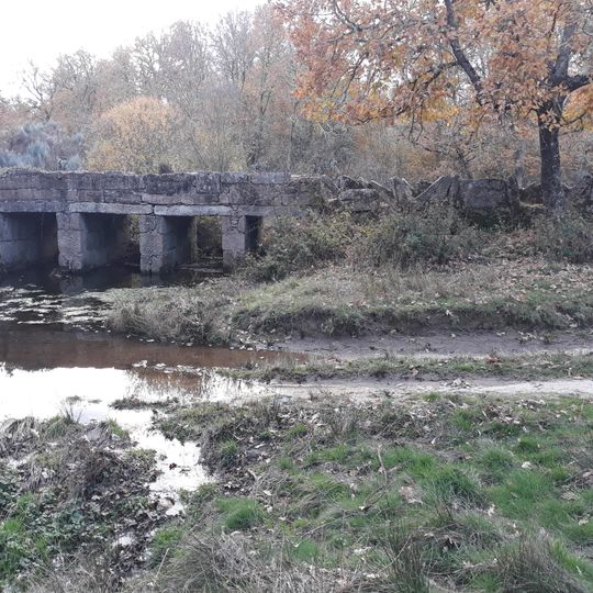 Mazo de Prado Álvaro Bridge