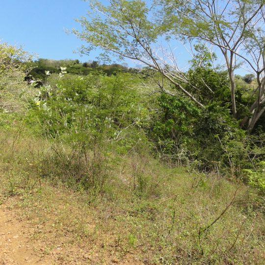 Capravera River Hydraulic Reserve