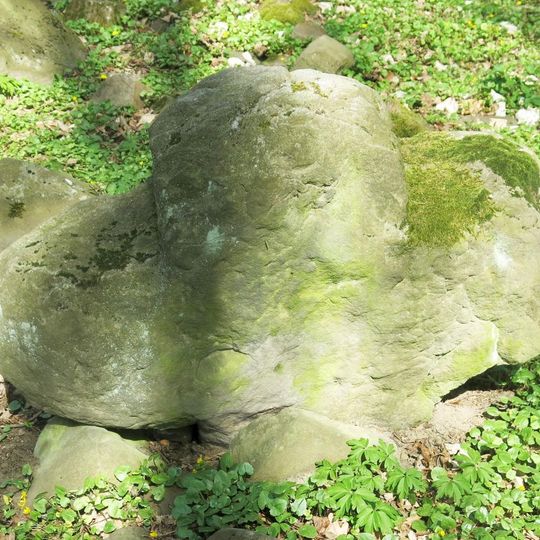 Smírčí kříž v lese poblíž vodojemu severně od Janovic