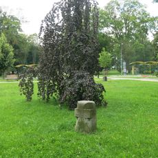 Pomník stromu Milénia v Městských sadech v Chebu