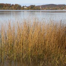 Schutz des Schliersees und seiner Umgebung