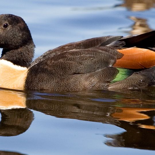 Walyunga National Park