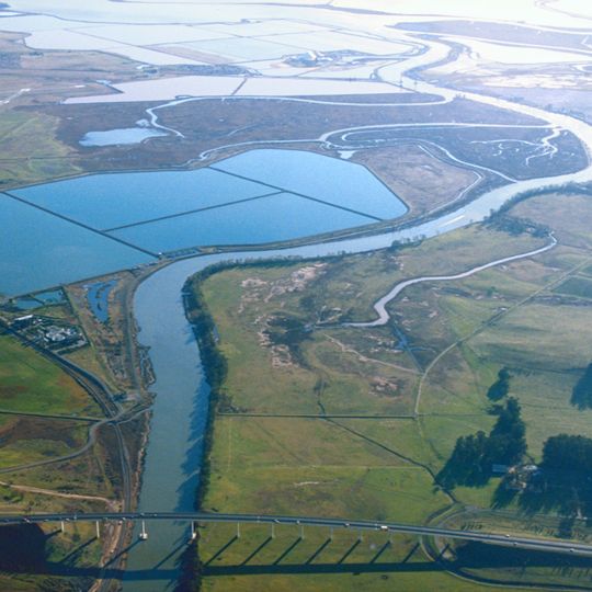 Napa Sonoma Marsh