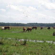 Commune de l'Île-Dupas