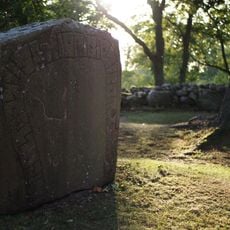 Västergötlands runinskrifter 44