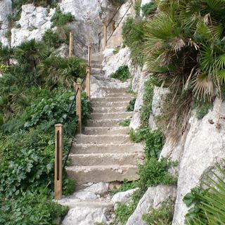 Mediterranean Steps