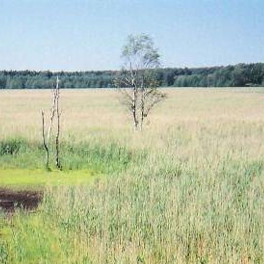 Plöwensches Seebruch