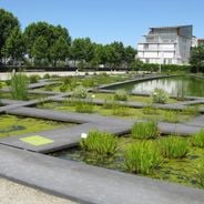 ボルドー、フランスで訪れるべきワインの首都であり歴史的な宝石
