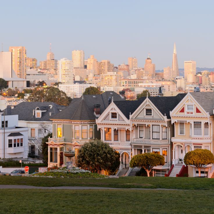 Les Painted Ladies