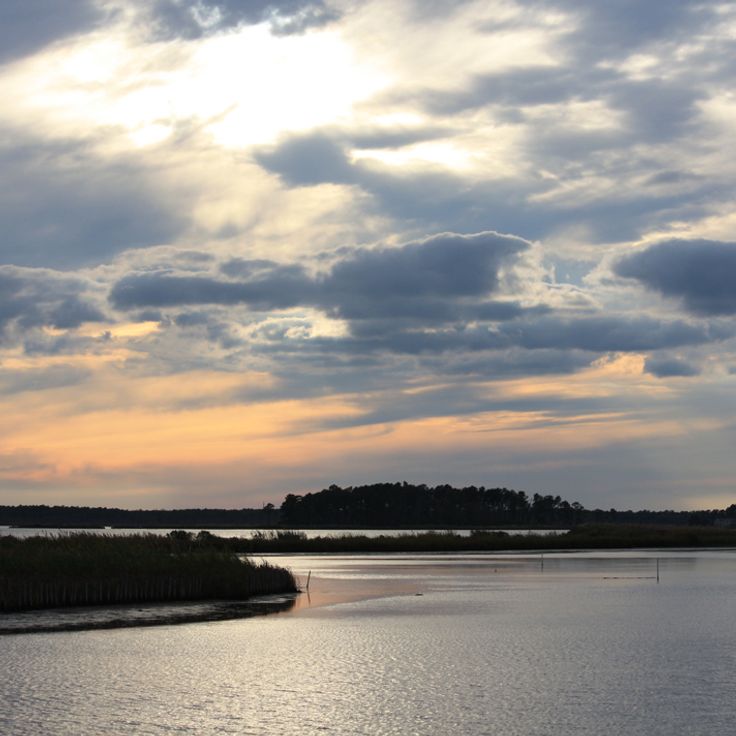 Refuge national de faune de Blackwater