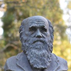 Бюст великого английского ученого Ч. Дарвина (Павлово)