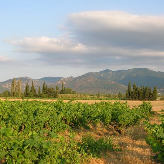 Albera Massif