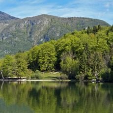 Lake Bohinj