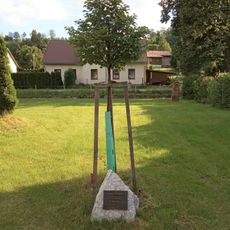 Republic Tilia in Klášterská Lhota