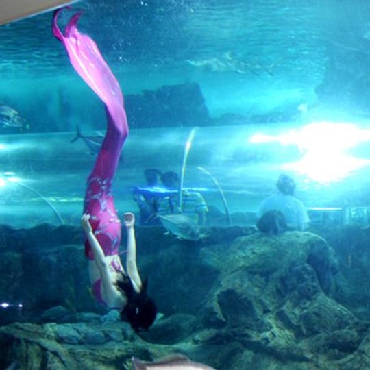 Nanjing Underwater World