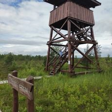 Mūšos Tyrelio Watchtower