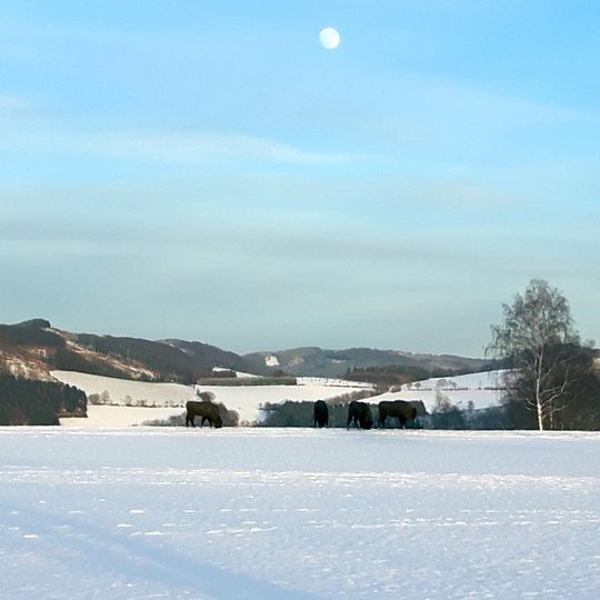 Offenlandmulde Grafschaft-Almert