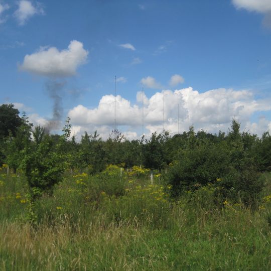 Saffron Green Meadows