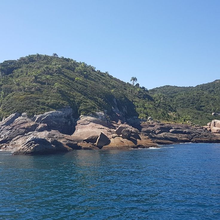 Ilha do Arvoredo