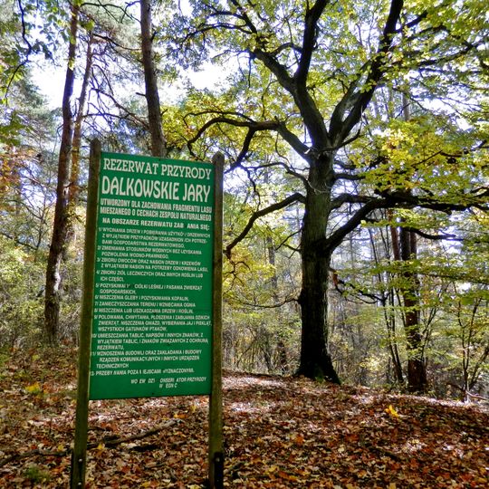 Dalkowskie Jary