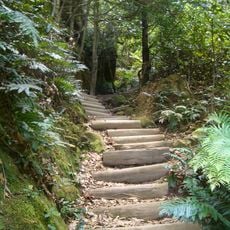 Blue Mountains walking tracks