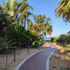 Gizella Kopsick Palm Arboretum