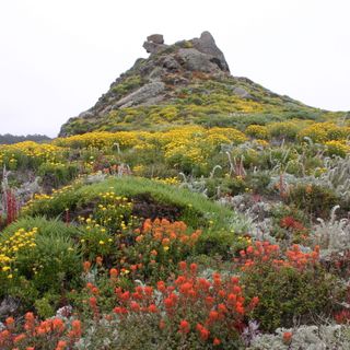 Riserva Naturale Statale di Point Lobos