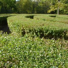 The Labyrinth State Memorial