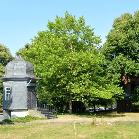 Baumbestand im Klubgarten