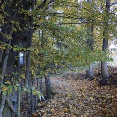 Bildbaum Teichleiten