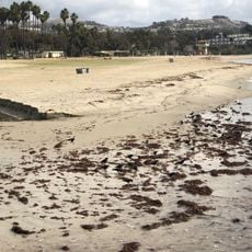 Doheny State Beach