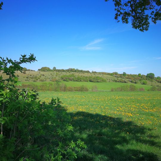 Magerrasen bei Korbach und Dorfitter