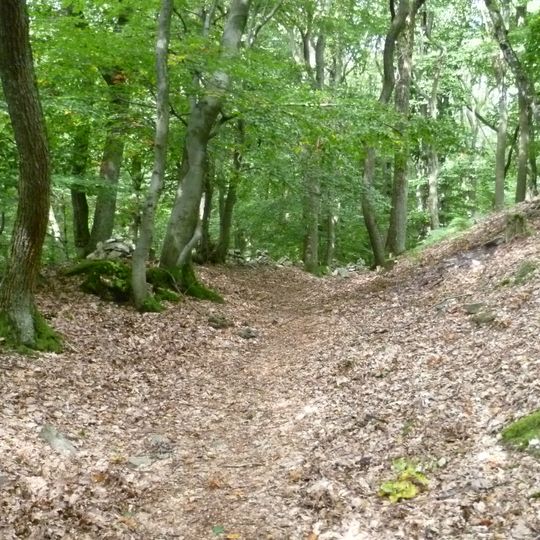 Ringwall Gickelsburg