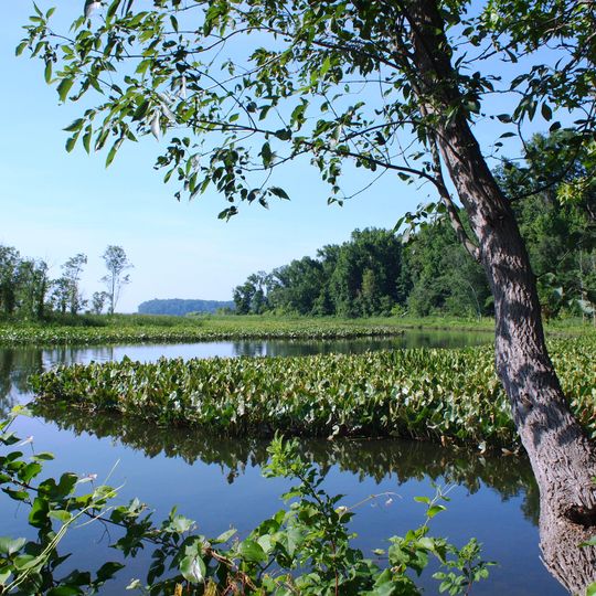 Refuge faunique national Featherstone