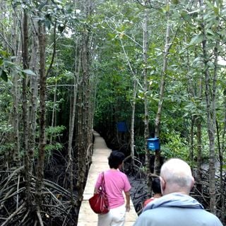 Peam Krasop Wildlife Sanctuary