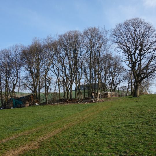 Geschützter Landschaftsbestandteil Feldgehölz
