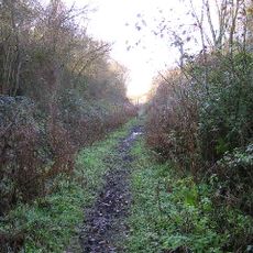 Lineage Wood & Railway Track, Long Melford
