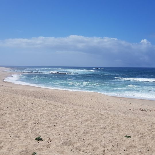 Praia de Fragosa