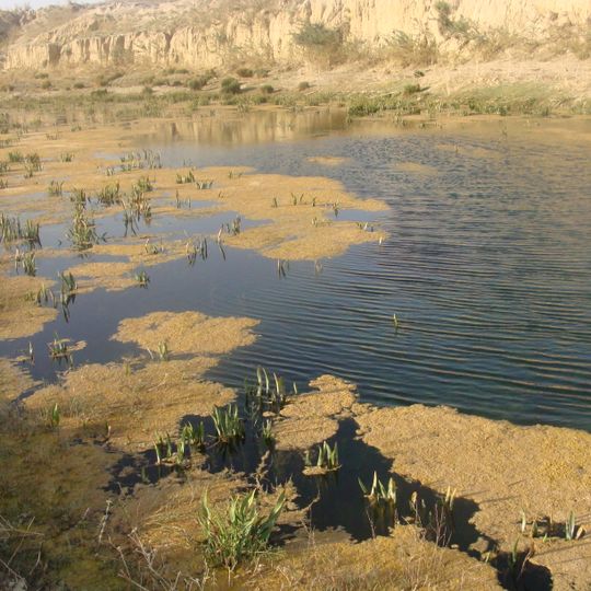 Shahrestān di Shahin Shahr e Meymeh