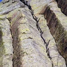 Tower Ladder