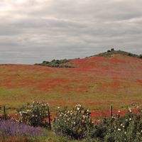 São João dos Caldeireiros