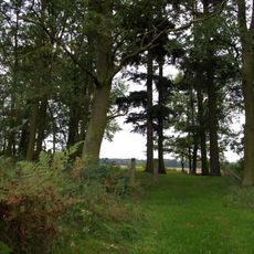 Cemetery in Grabownica