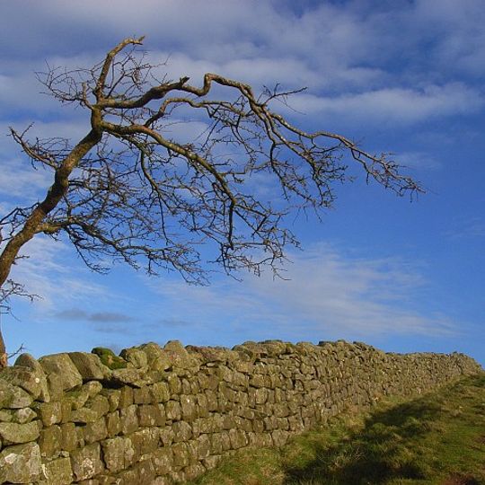 Hadrians Wall Milecastle And Turret